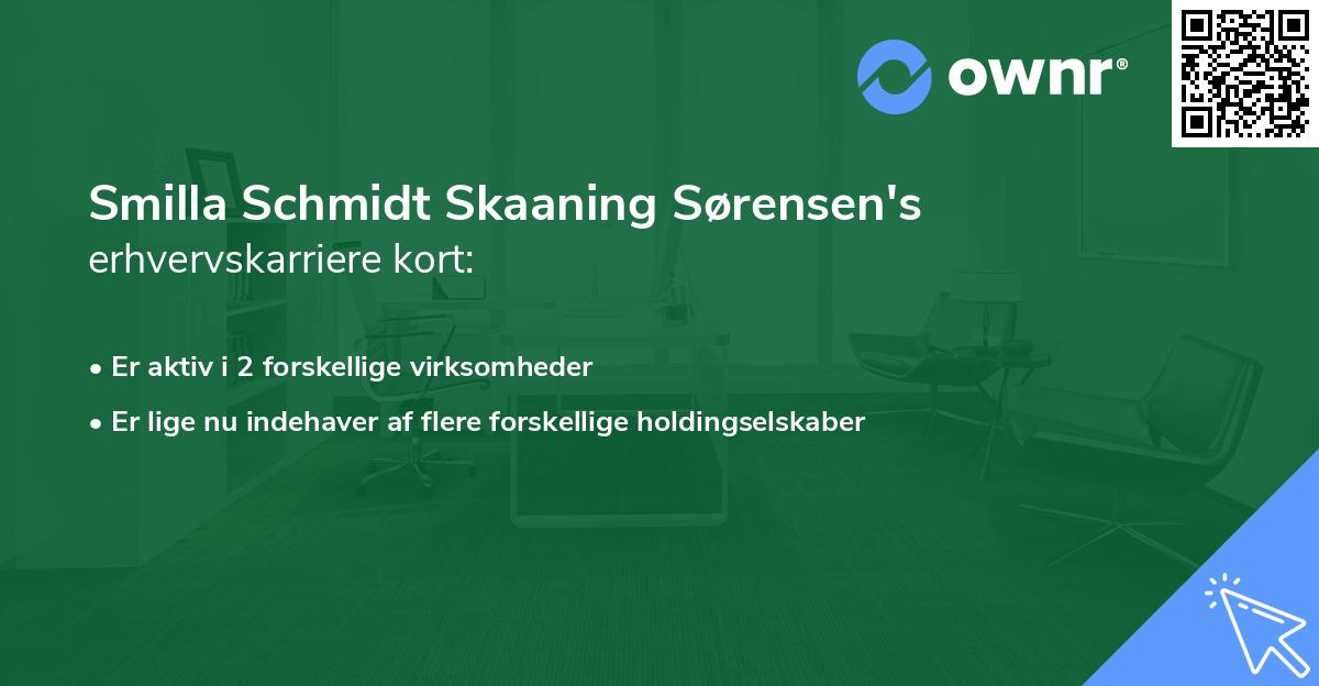 Smilla Schmidt Skaaning Sørensen's erhvervskarriere kort