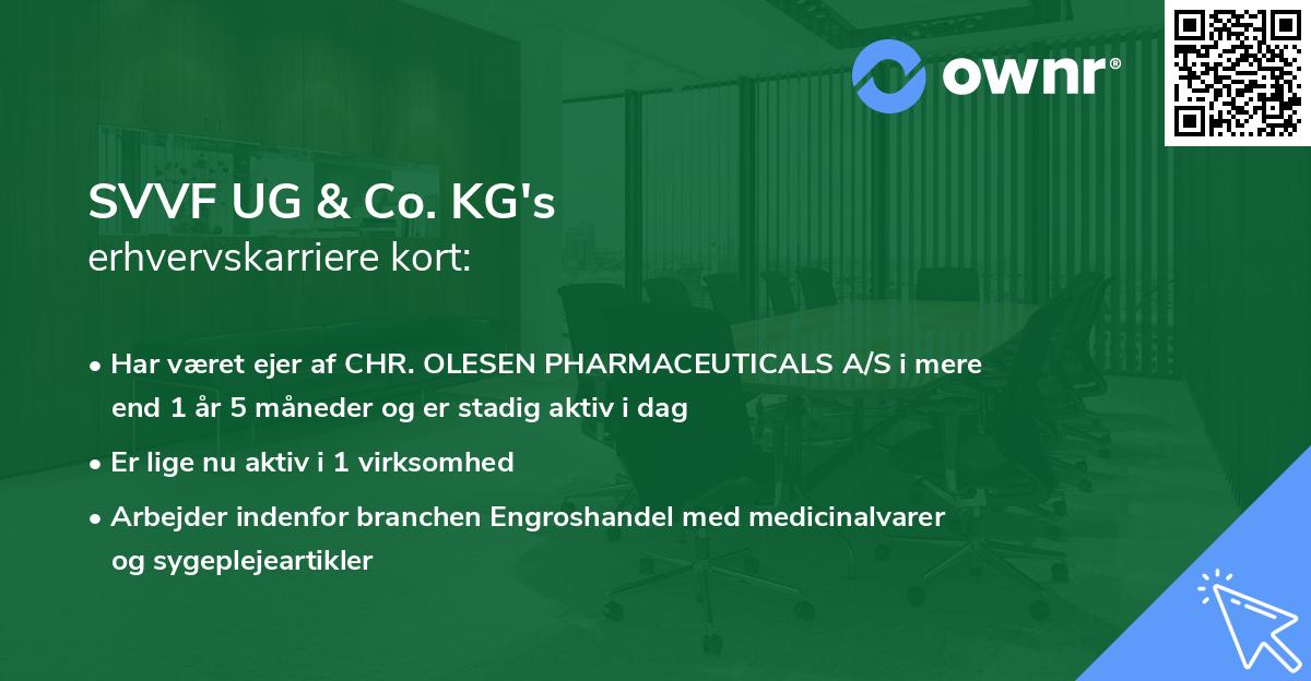 SVVF UG & Co. KG's erhvervskarriere kort