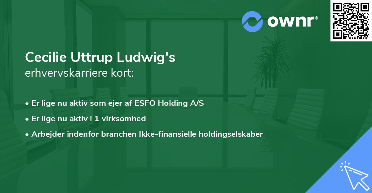 Cecilie Uttrup Ludwig's erhvervskarriere kort