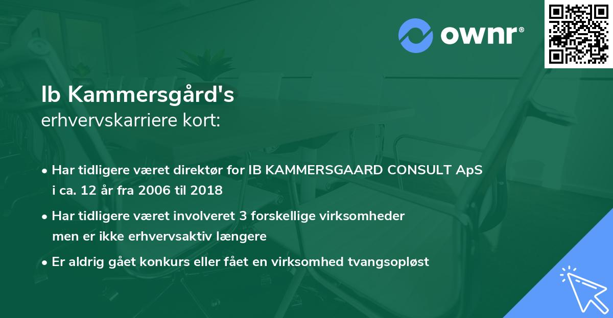 Ib Kammersgård's erhvervskarriere kort