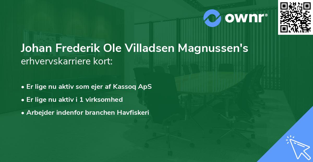 Johan Frederik Ole Villadsen Magnussen's erhvervskarriere kort