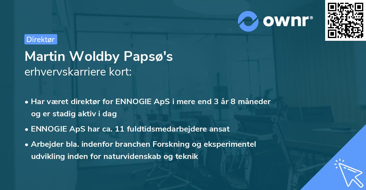 Martin Woldby Papsø's erhvervskarriere kort