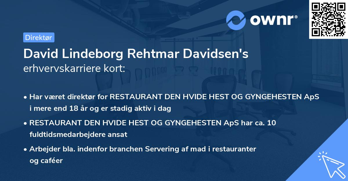 David Lindeborg Rehtmar Davidsen's erhvervskarriere kort
