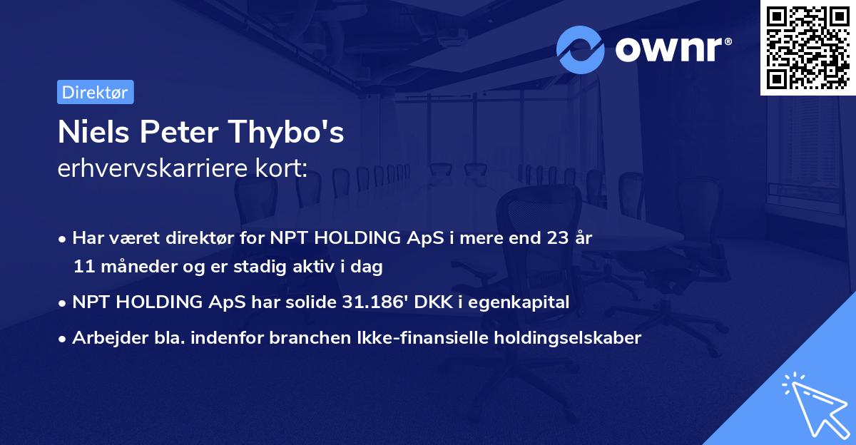 Niels Peter Thybo's erhvervskarriere kort