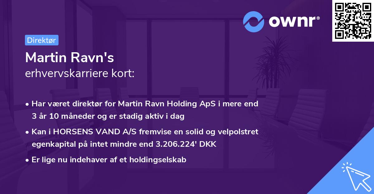 Martin Ravn's erhvervskarriere kort