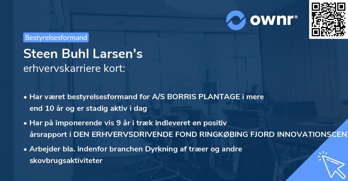 Steen Buhl Larsen's erhvervskarriere kort