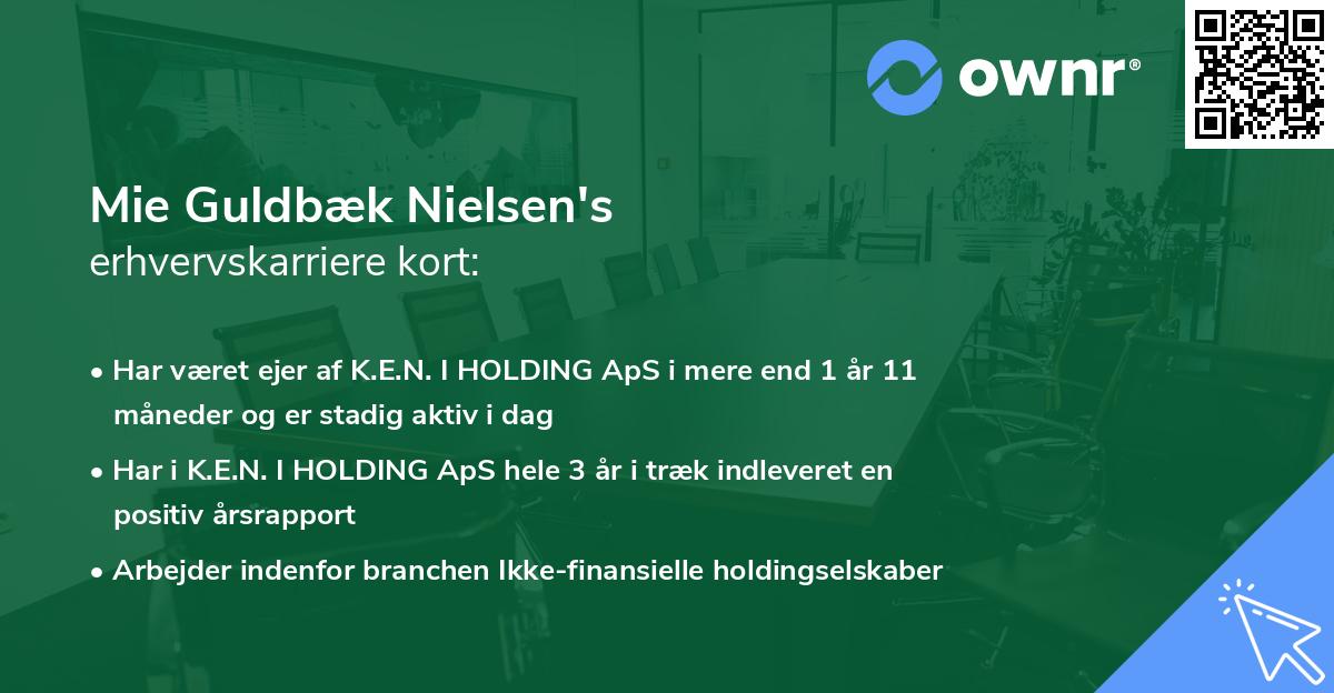 Mie Guldbæk Nielsen's erhvervskarriere kort