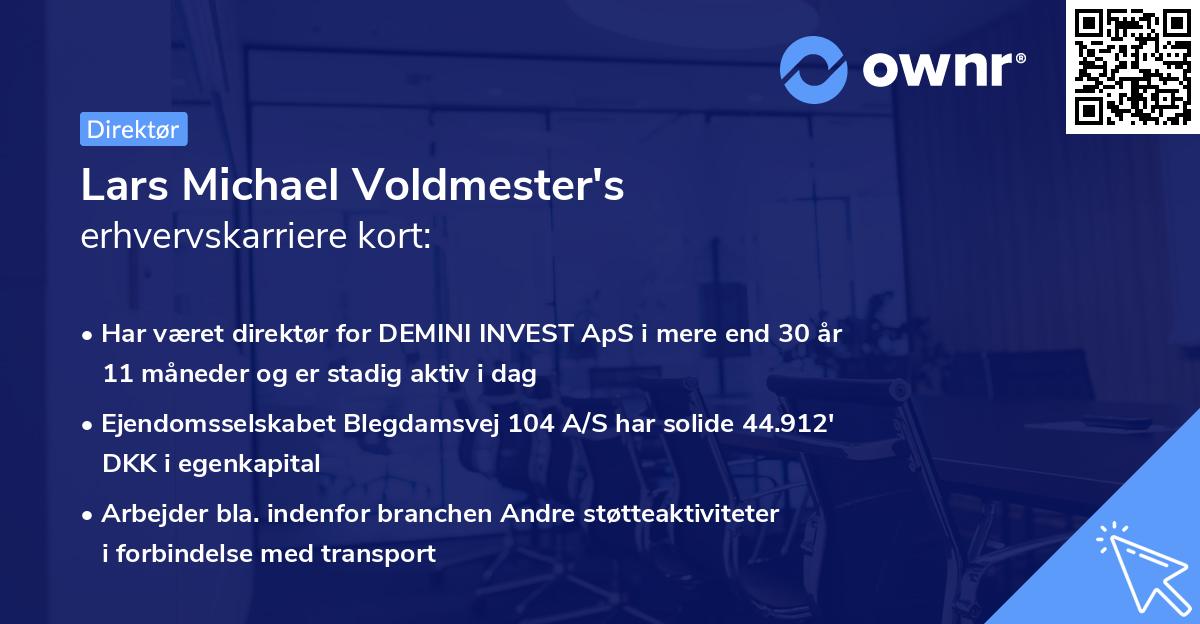 Lars Michael Voldmester's erhvervskarriere kort