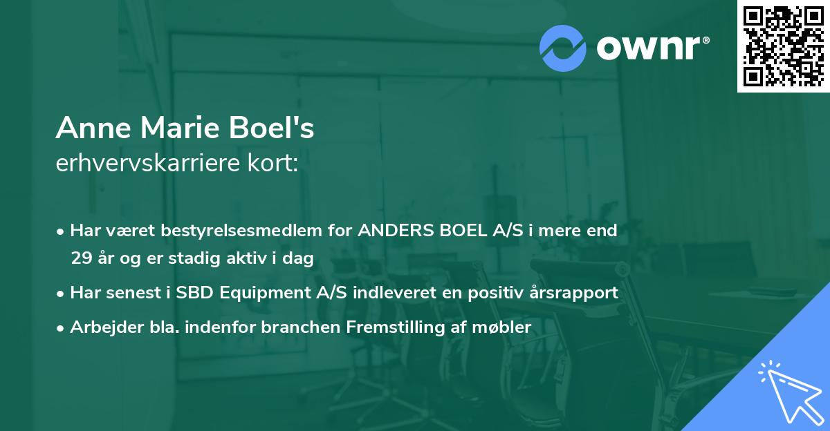 Anne Marie Boel's erhvervskarriere kort