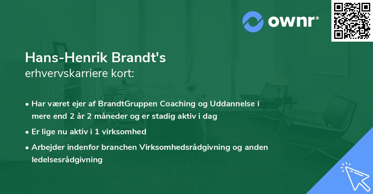 Hans-Henrik Brandt's erhvervskarriere kort