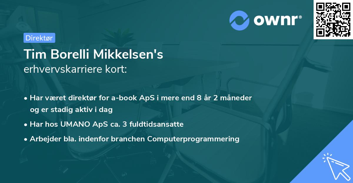 Tim Borelli Mikkelsen's erhvervskarriere kort