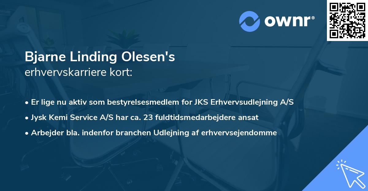 Bjarne Linding Olesen's erhvervskarriere kort