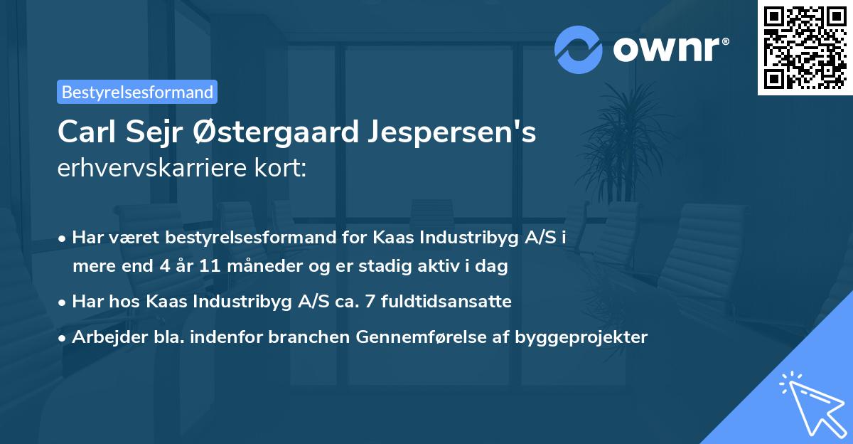 Carl Sejr Østergaard Jespersen's erhvervskarriere kort