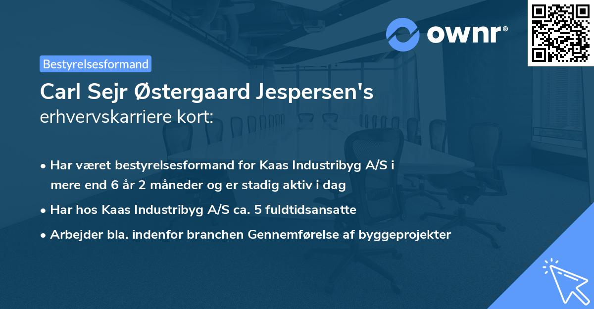 Carl Sejr Østergaard Jespersen's erhvervskarriere kort