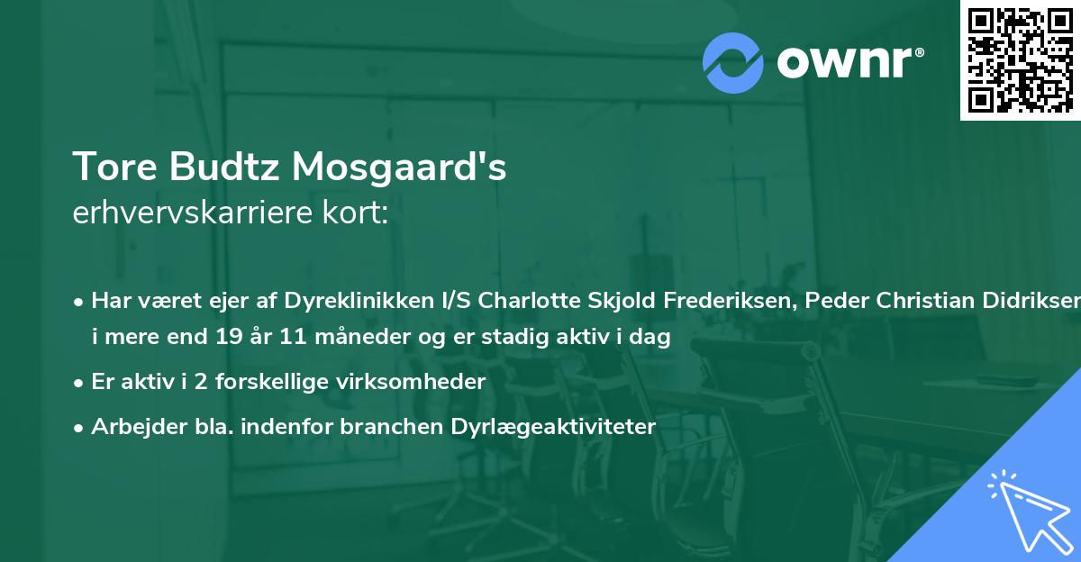 Tore Budtz Mosgaard's erhvervskarriere kort