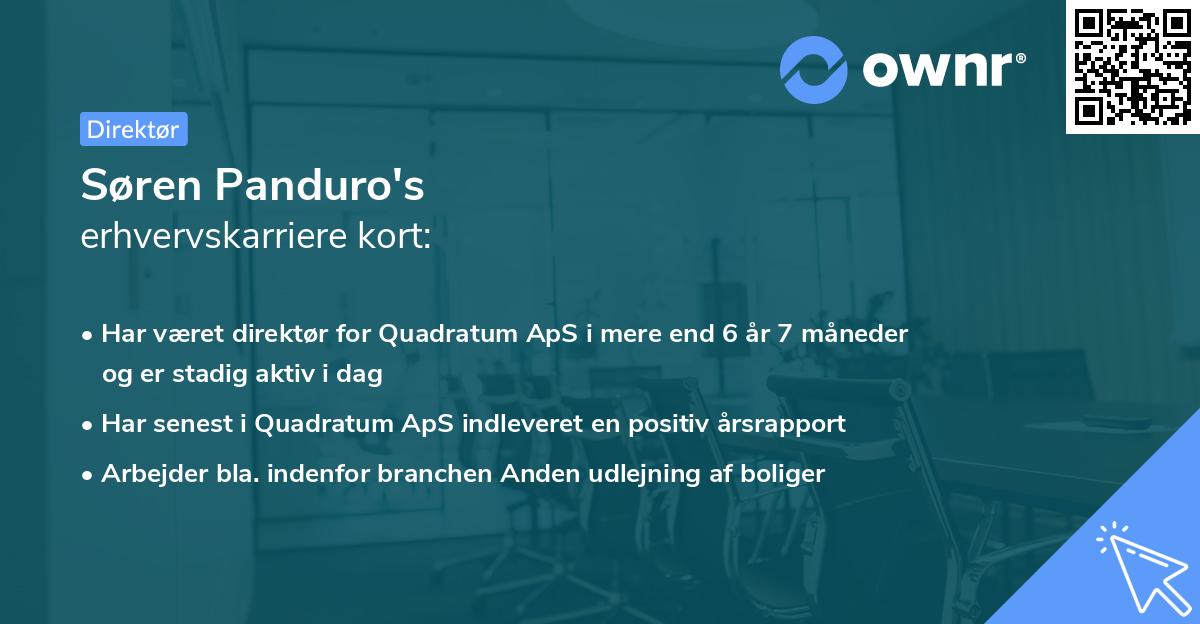 Søren Panduro's erhvervskarriere kort
