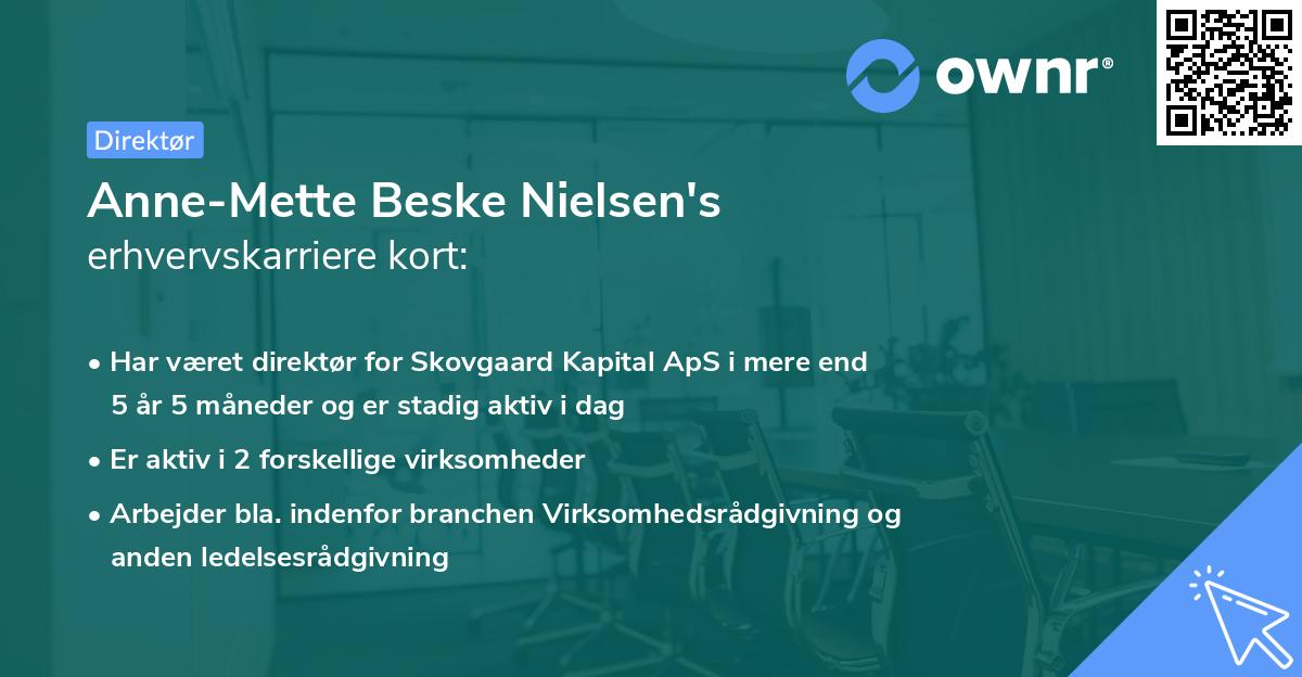 Anne-Mette Beske Nielsen's erhvervskarriere kort