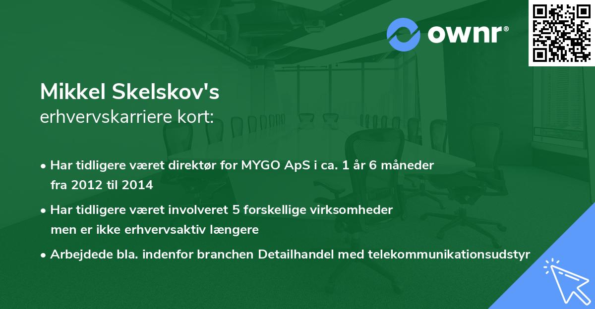 Mikkel Skelskov's erhvervskarriere kort