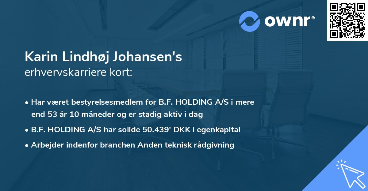 Karin Lindhøj Johansen's erhvervskarriere kort