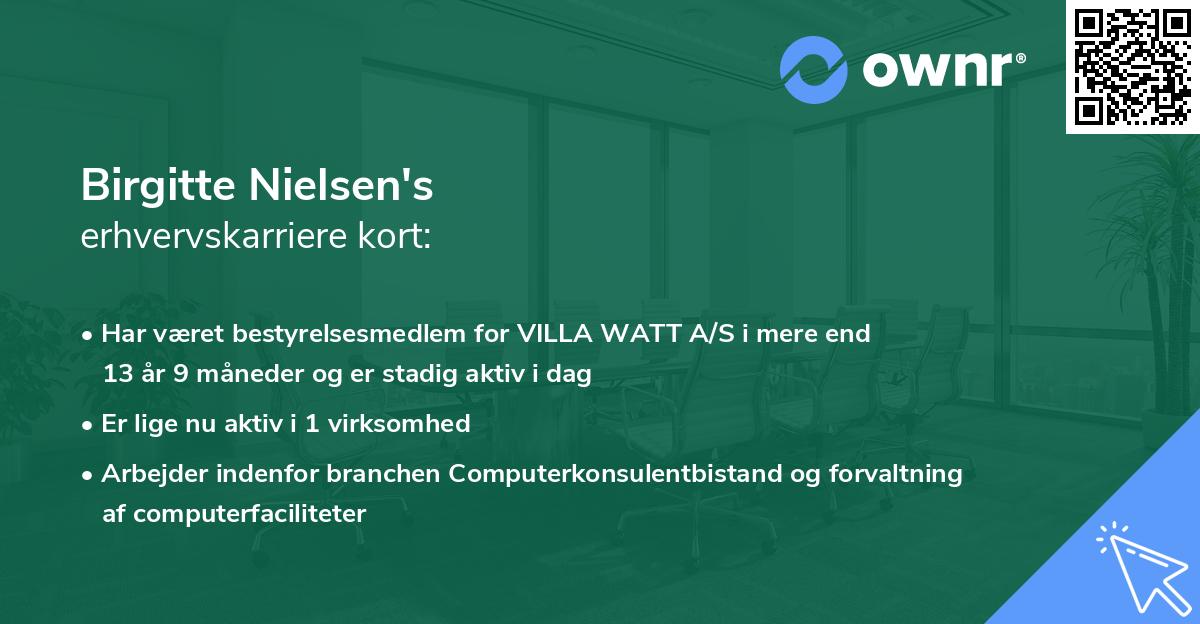 Birgitte Nielsen's erhvervskarriere kort