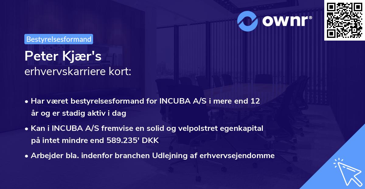 Peter Kjær's erhvervskarriere kort