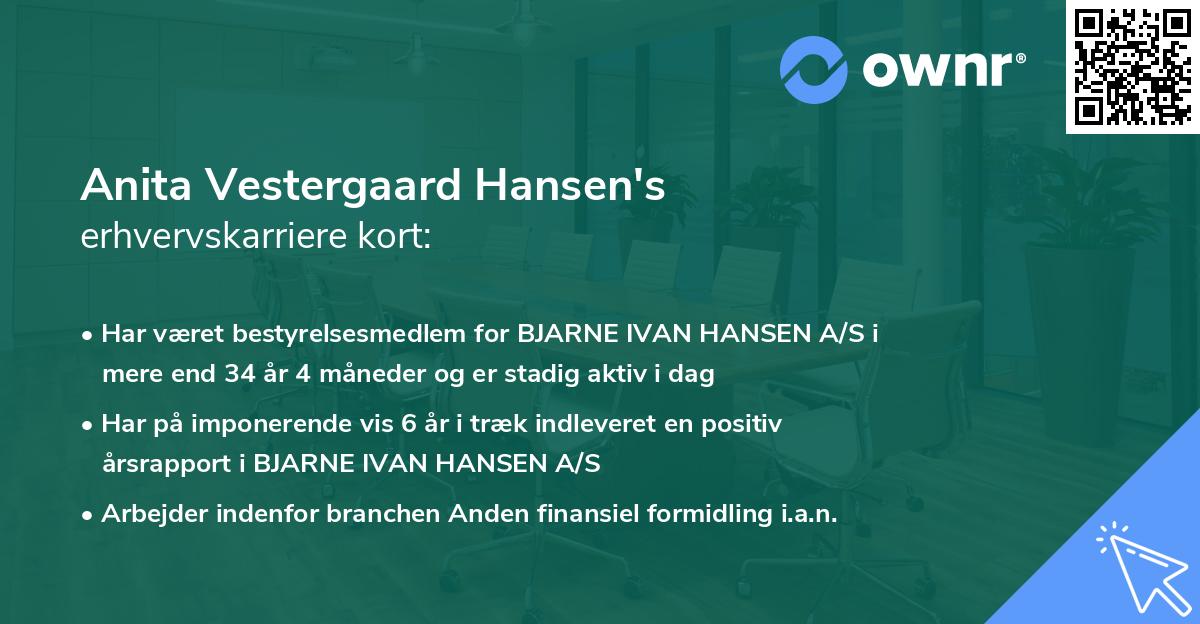 Anita Vestergaard Hansen's erhvervskarriere kort