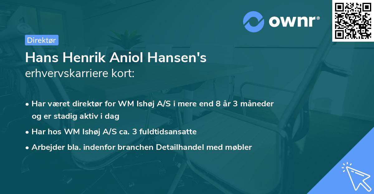 Hans Henrik Aniol Hansen's erhvervskarriere kort