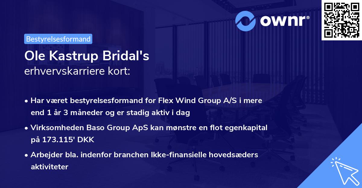 Ole Kastrup Bridal's erhvervskarriere kort