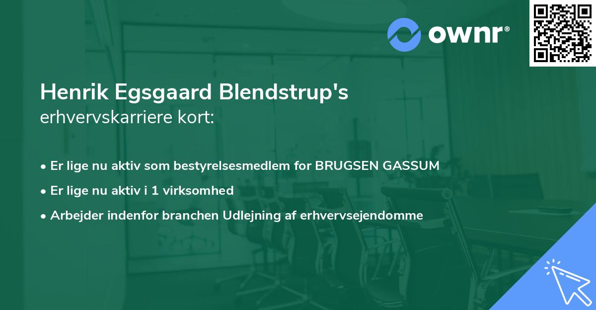 Henrik Egsgaard Blendstrup's erhvervskarriere kort