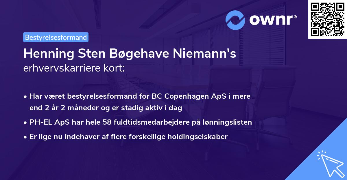 Henning Sten Bøgehave Niemann's erhvervskarriere kort