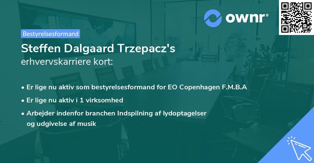 Steffen Dalgaard Trzepacz's erhvervskarriere kort