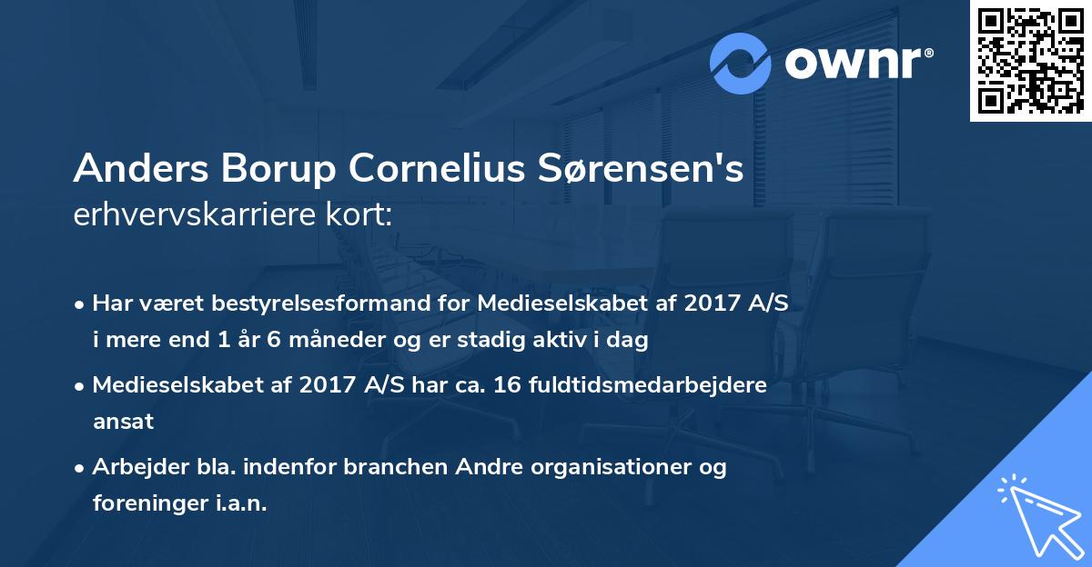 Anders Borup Cornelius Sørensen's erhvervskarriere kort