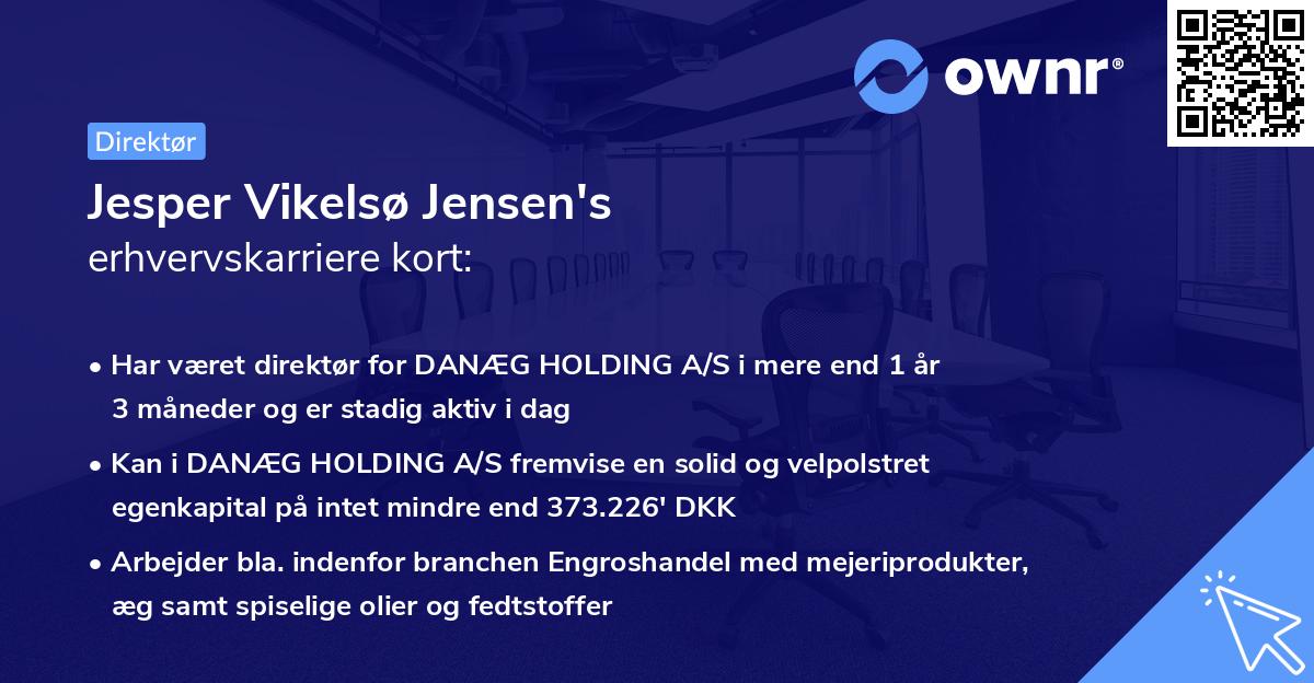 Jesper Vikelsø Jensen's erhvervskarriere kort