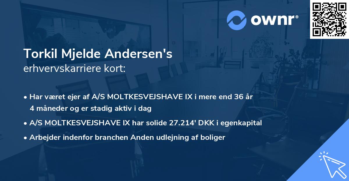 Torkil Mjelde Andersen's erhvervskarriere kort