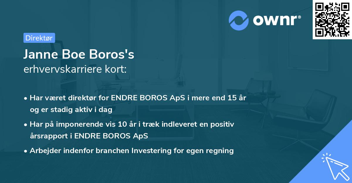 Janne Boe Boros's erhvervskarriere kort