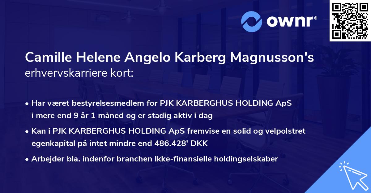 Camille Helene Angelo Karberg Magnusson's erhvervskarriere kort