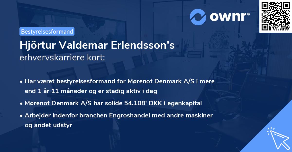 Hjörtur Valdemar Erlendsson's erhvervskarriere kort