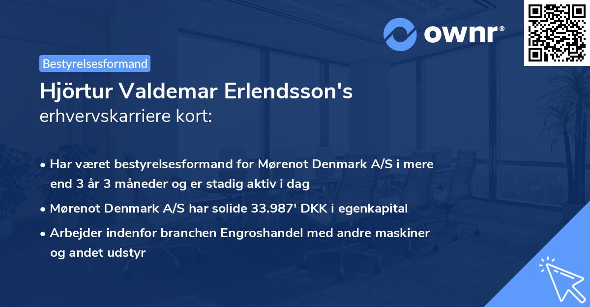 Hjörtur Valdemar Erlendsson's erhvervskarriere kort