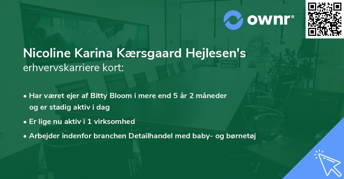Nicoline Karina Kærsgaard Hejlesen's erhvervskarriere kort