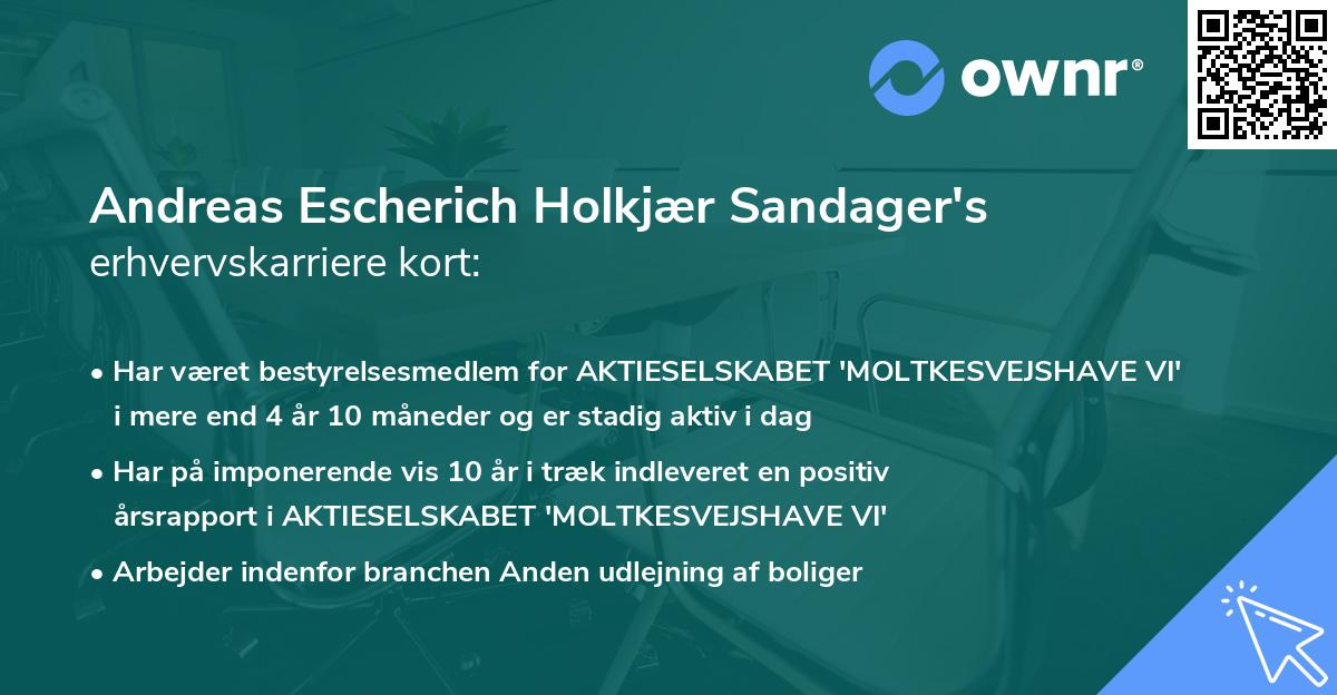 Andreas Escherich Holkjær Sandager's erhvervskarriere kort
