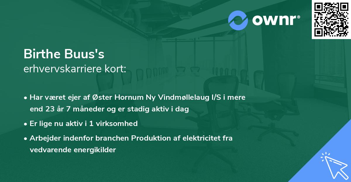 Birthe Buus's erhvervskarriere kort