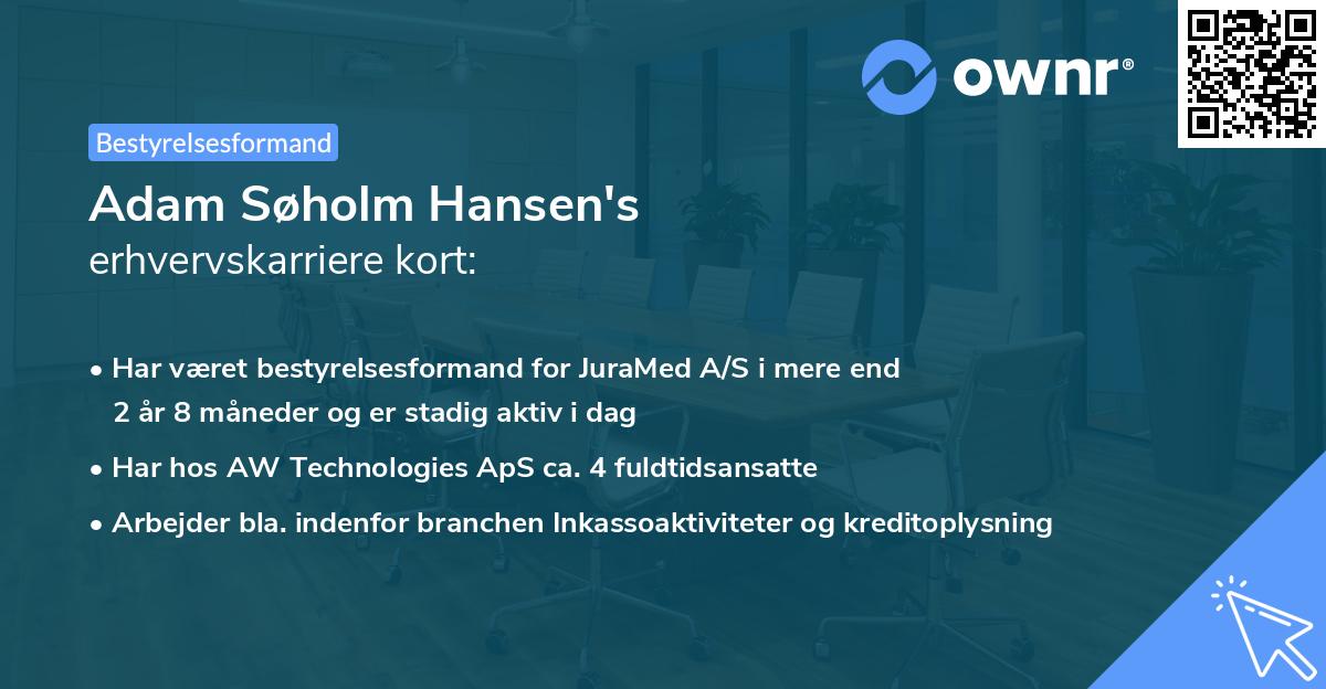 Adam Søholm Hansen's erhvervskarriere kort