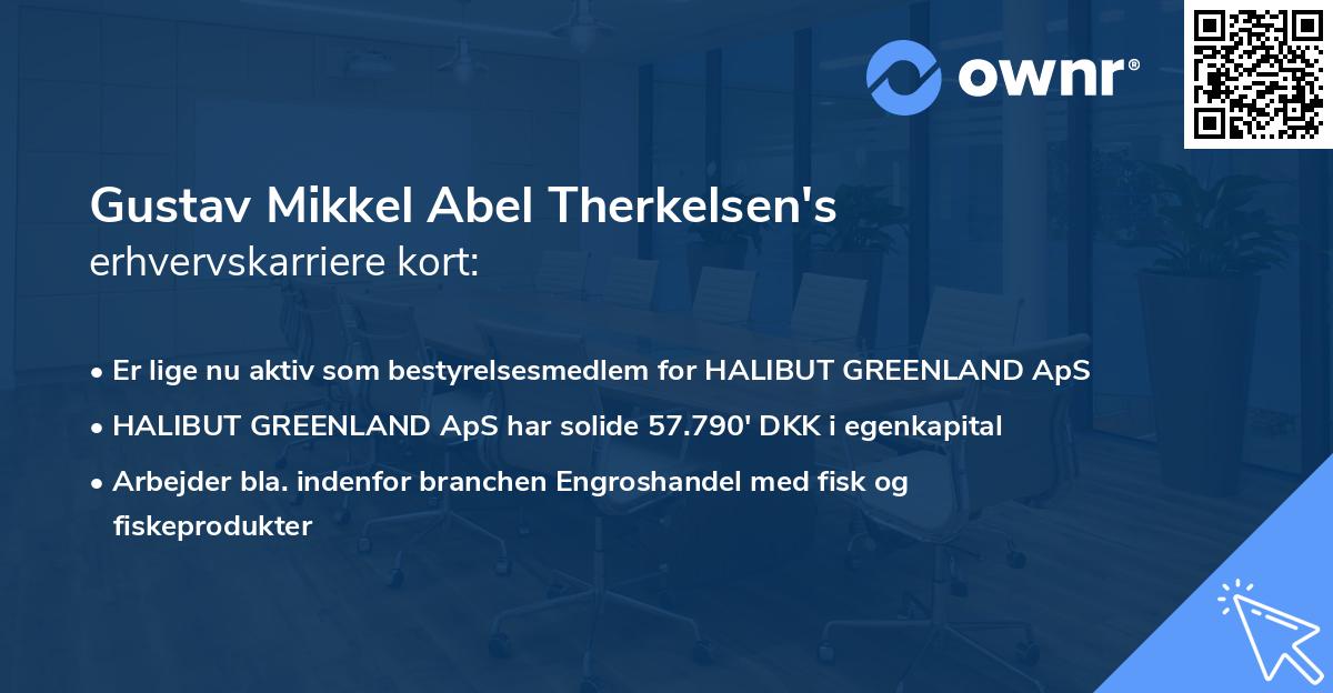 Gustav Mikkel Abel Therkelsen's erhvervskarriere kort