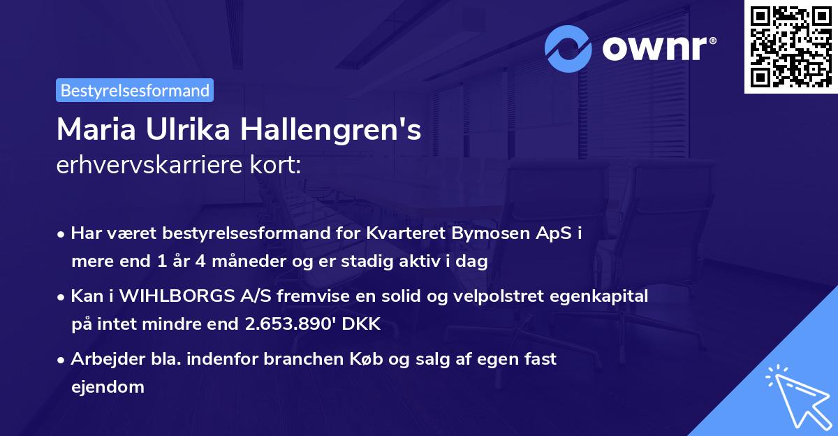 Maria Ulrika Hallengren's erhvervskarriere kort