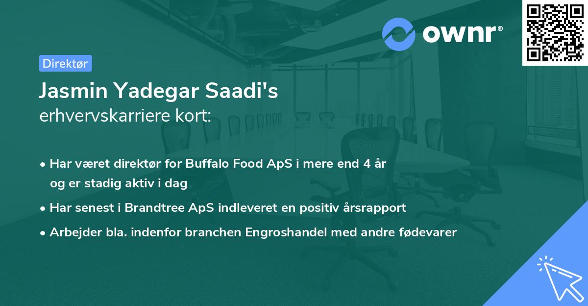 Jasmin Yadegar Saadi's erhvervskarriere kort