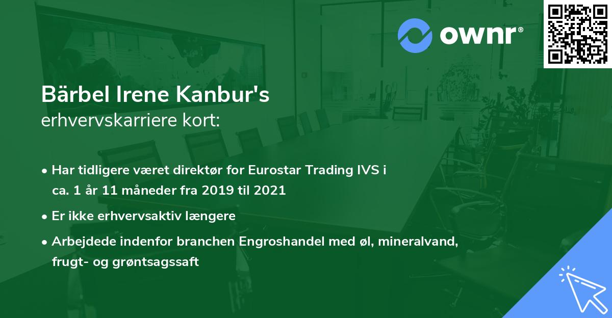 Bärbel Irene Kanbur's erhvervskarriere kort
