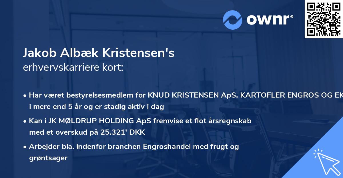 Jakob Albæk Kristensen's erhvervskarriere kort