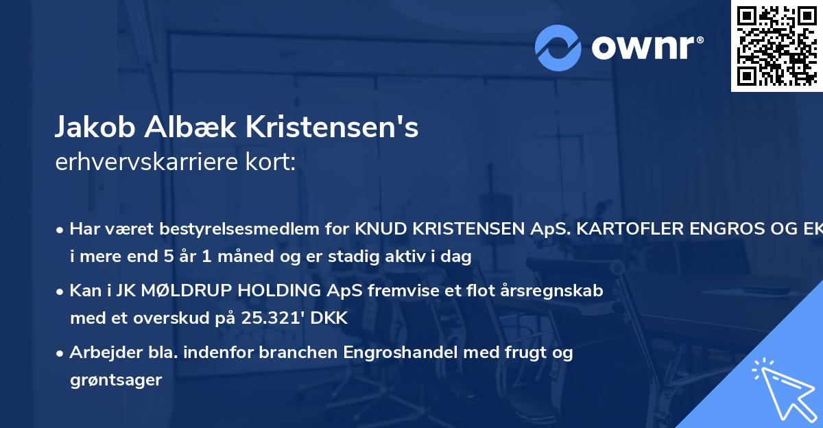 Jakob Albæk Kristensen's erhvervskarriere kort