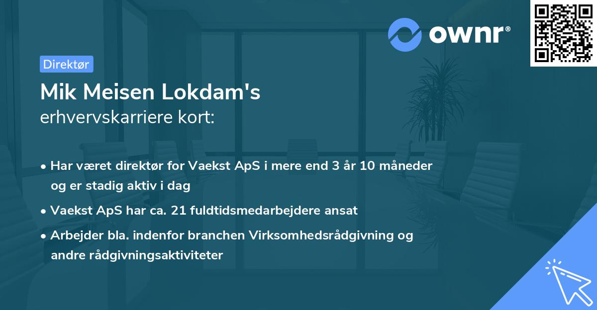 Mik Meisen Lokdam's erhvervskarriere kort