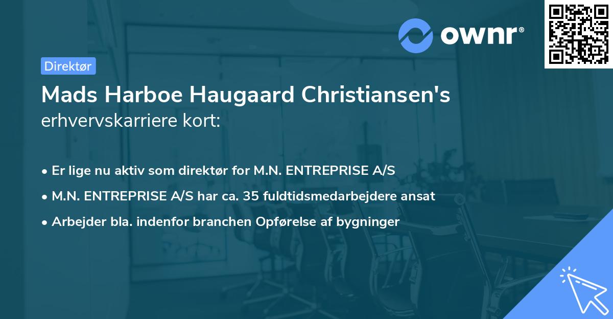 Mads Harboe Haugaard Christiansen's erhvervskarriere kort